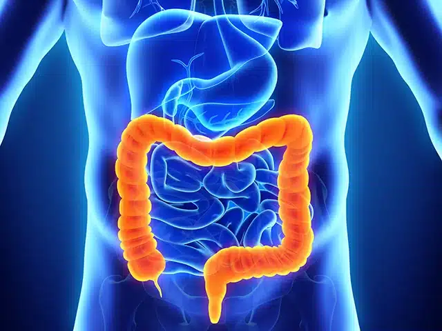 endoscopia-digestiva